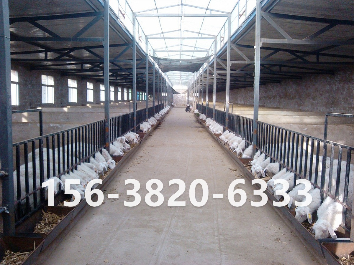 年產(chǎn)2萬噸有機(jī)肥設(shè)備配置